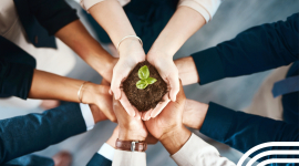 Programme Green GRP – Neutralité climatique en publicité