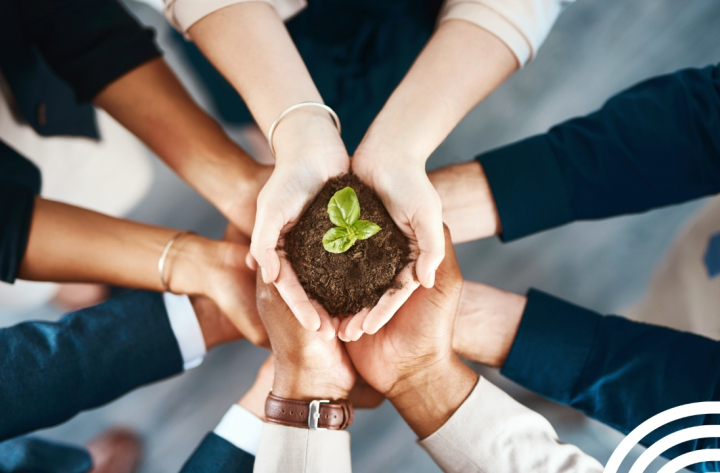 Programme Green GRP – Neutralité climatique en publicité