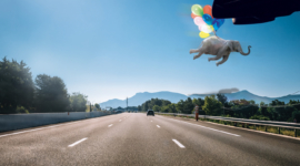 Campagne de sensibilisation