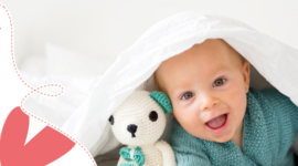 Refonte du site : Les petits chaperons rouges