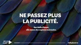 Campagne Hello Planet
