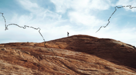 Brand content, website, social media – #HoganJourney