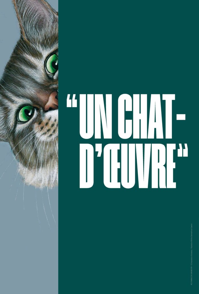 QUEL EST LE LIEN ENTRE UN CHAT ET UN MENTALISTE ?