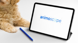 Animoscope – Brand Naming & Visual Identity