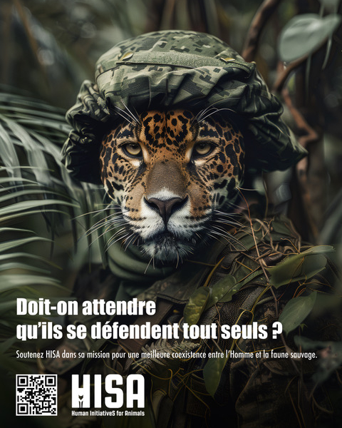 Campagne de communication-Animaux en Armes