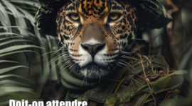 Campagne de communication-Animaux en Armes