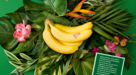 Campagne globale – La Banane à la française