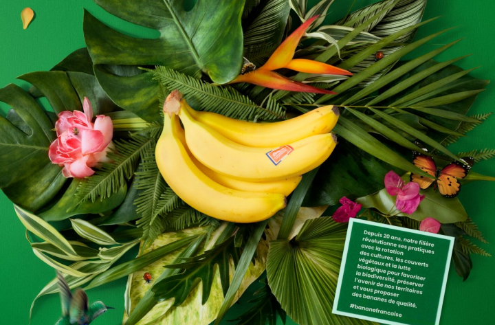 Campagne globale – La Banane à la française