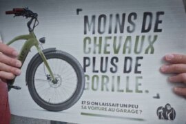 Belle X CB News – Gorille