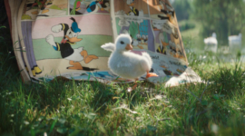 FILM MARQUE – THE DUCK