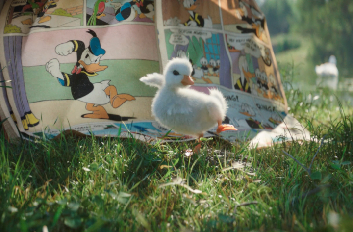 FILM MARQUE – THE DUCK
