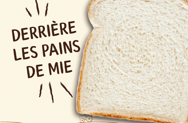 Campagne TV et Réseaux Sociaux