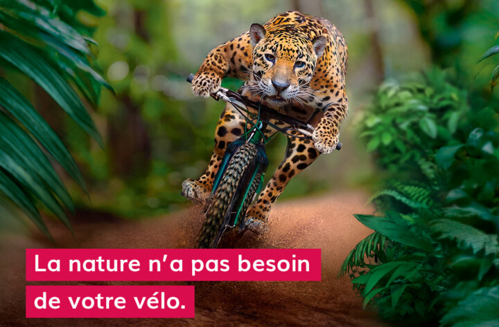 La nature n&rsquo;a pas besoin…