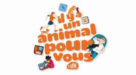 Il y a un animal pour vous