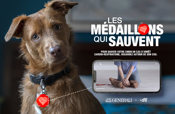 « Les Médaillons qui sauvent » : un dispositif inédit pour sensibiliser aux gestes de 1ers secours canins, en collaboration avec la SPA