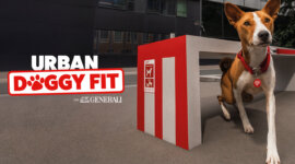 Generali détourne le mobilier urbain pour encourager l’activité physique des chiens en ville, avec le soutien de la SPA