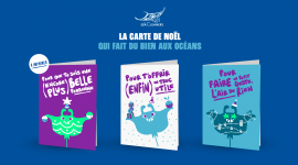 The SeaCleaners – Les Cartes cadeaux utiles
