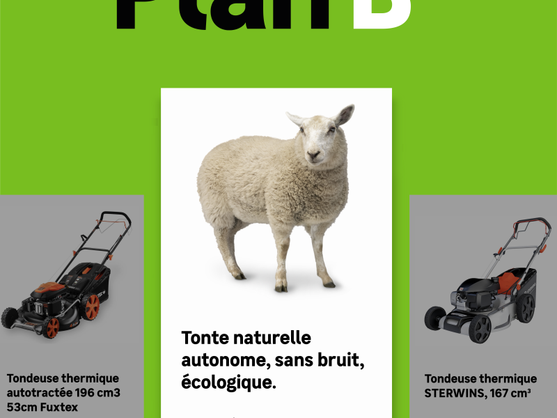 PLAN BÊÊÊ