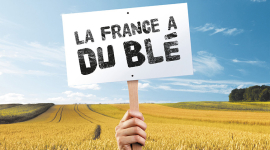 EBLY – COEUR DE BLÉ : La France a du Blé !