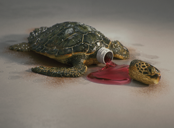 La Tortue