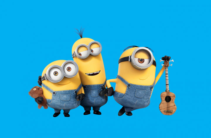 LICENCE LES MINIONS
