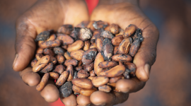Cocoa Event avec Mars Wrigley