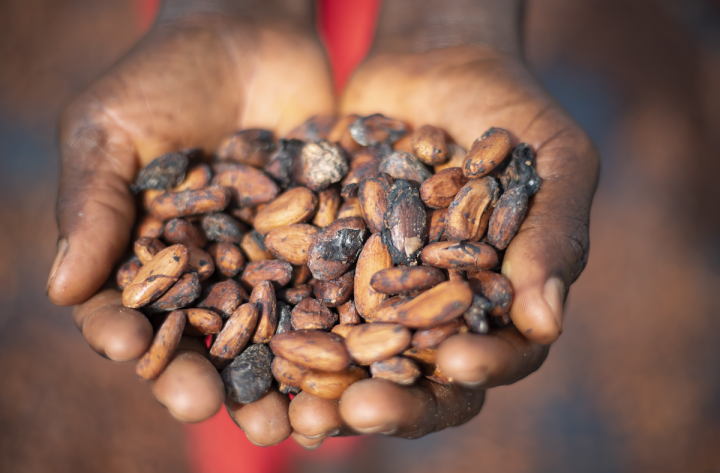 Cocoa Event avec Mars Wrigley