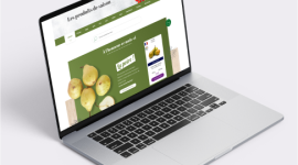 Conception du nouveau site internet