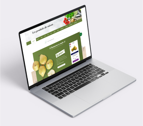 Conception du nouveau site internet