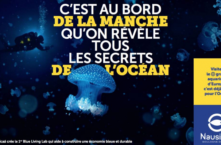 Agir pour les océans avec Nausicaa