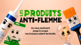 LES PRODUITS ANTI-FLEMME