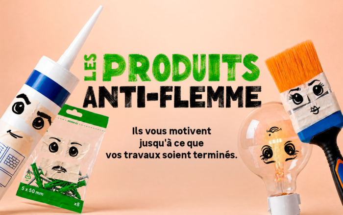LES PRODUITS ANTI-FLEMME