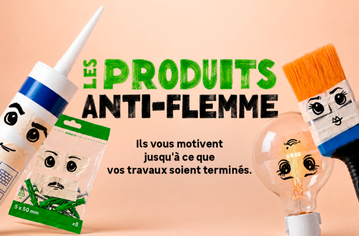 LES PRODUITS ANTI-FLEMME