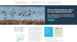 Agence digitale Mirova