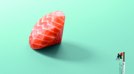 Campagne Print – The beauty of sharpness