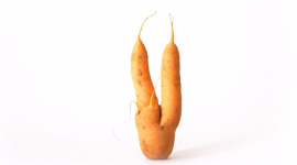 LES FRUITS ET LÉGUMES MOCHES