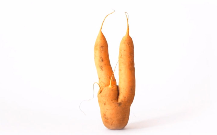 LES FRUITS ET LÉGUMES MOCHES