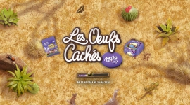 Les oeufs cachés 2014