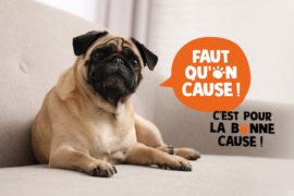 Notchup lance la première campagne d’influence de la SPA : #FautQuonCause