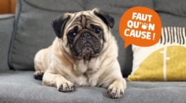 Faut qu&rsquo;on cause