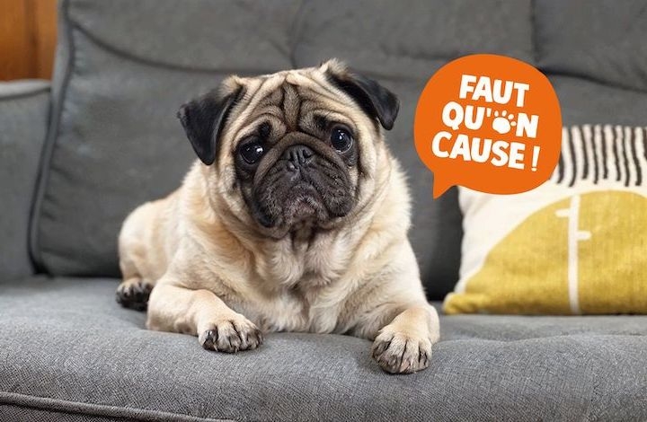 Faut qu&rsquo;on cause
