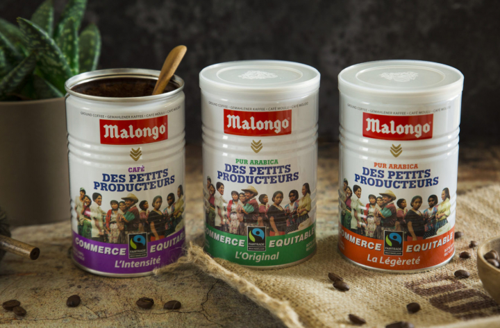MALONGO – FOCUS RSE