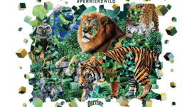 Edition limitée – PerrierxWild