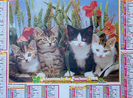 Le calendrier circulaire (Activation digitale)
