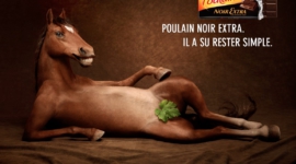 Il a su rester simple – Poulain