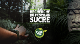 Campagne digitale  « A la recherche du prochain sucre »