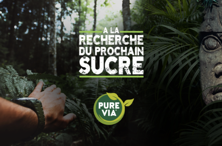 Campagne digitale  « A la recherche du prochain sucre »