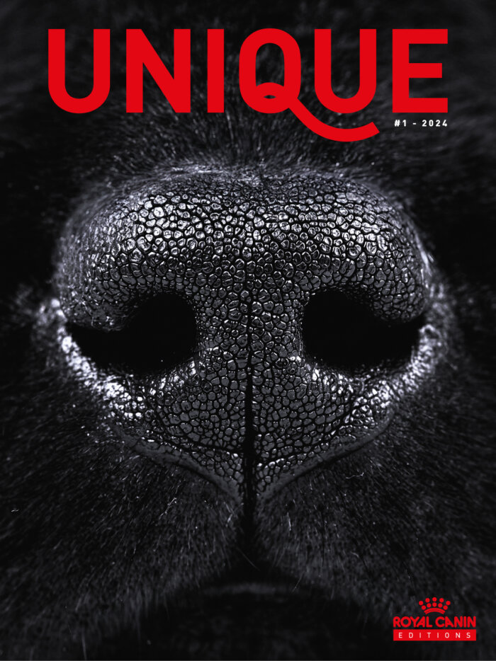 Magazine UNIQUE