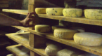 Comté