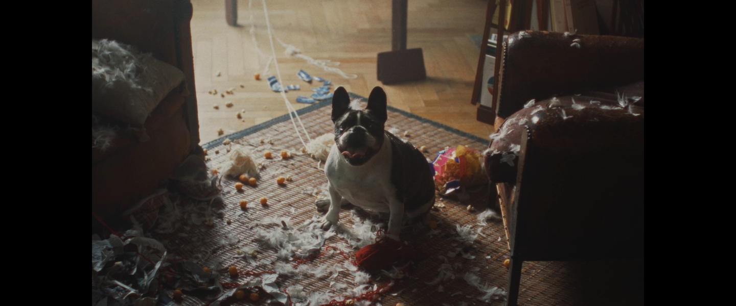 La SPA – #StopAbandon